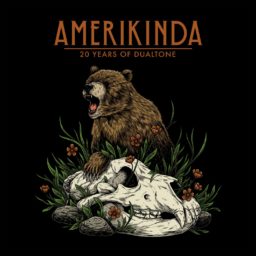 Various Artists - Amerikinda_ 20 Years of Dualtone