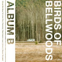 Album cover for Album B by Birds of Bellwoods.